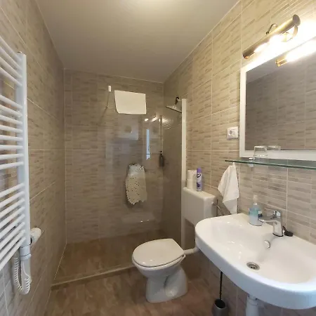 Casa de hóspedes Sobe Dragic 3*