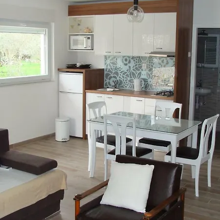 Sobe Dragic זאדאר